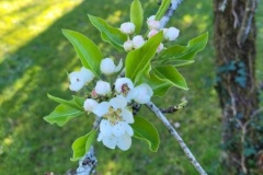 20250401_095143-Copy