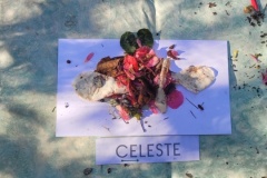 20250401_102005-Copy