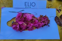 20250401_102102-Copy