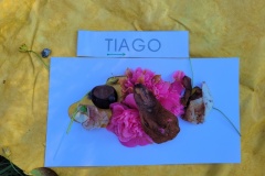 20250401_102116-Copy