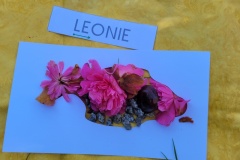 20250401_102148-Copy