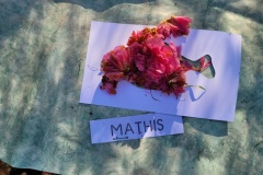 20250401_102222-Copy