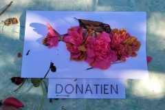 20250401_102336-Copy