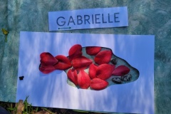 20250401_102401-Copy