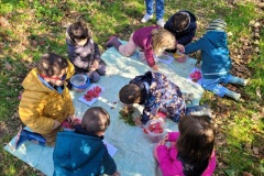 20250401_104015-Copy