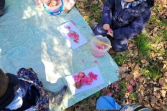 20250401_104111-Copy