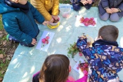 20250401_104114-Copy