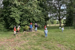 IMG_3910-Copy