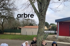 20240201_103511-Copy