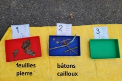 20240201_103625-Copy