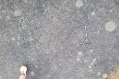 20240201_103721-Copy