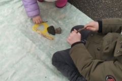 IMG_20240201_095859-Copy