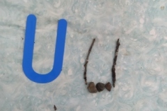 IMG_20240201_100146_1-Copy