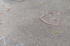 IMG_20240201_103726-Copy