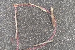 IMG_20240201_104000-Copy