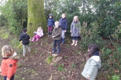 IMG_20240201_104424-Copy