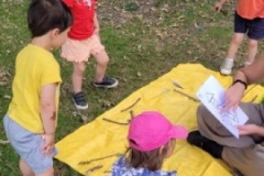 20250624_101714-Copy