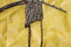 20250624_102455-Copy