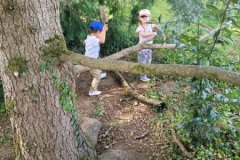 20250624_105425-Copy