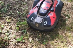 20250624_111725-Copy