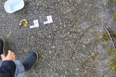 20240411_095452-Copy