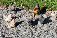 20260409_111643-Copy