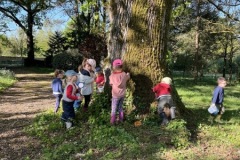 IMG_1525-Copy