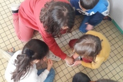 20210319_143544-Copier