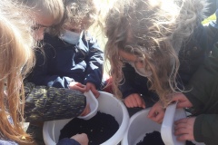 20210319_153021-Copier