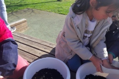 20210319_153243-Copier