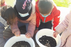 20210319_153456-Copier