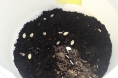 20210319_153615-Copier