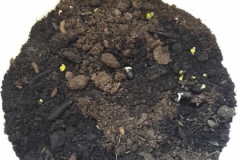 20210323_082700-Copier