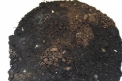 20210323_082707-Copier