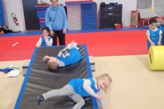 20250224_110609-Copy