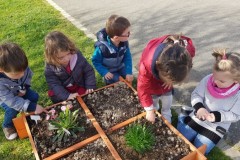 20210330_113906-Copier