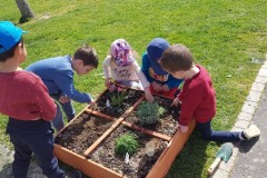 20210330_144933-Copier