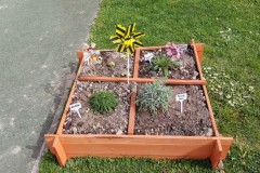 20210402_155503-Copier