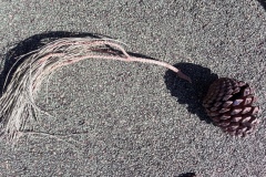 20210323_115136-Copier