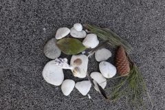 20210323_115313-Copier