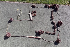 20210323_115410-Copier