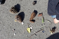 20210323_115444-Copier