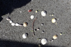 20210323_115503-Copier