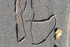 20210323_115546-Copier