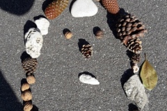 20210323_115602-Copier