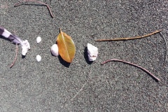 20210323_115718-Copier