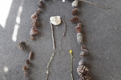 20210323_115752-Copier