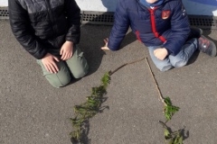 20210308_114207-Copier