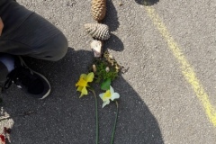 20210308_114648-Copier