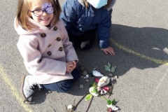 20210308_115043-Copier